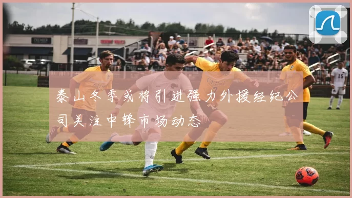 泰山冬季或将引进强力外援经纪公司关注中锋市场动态